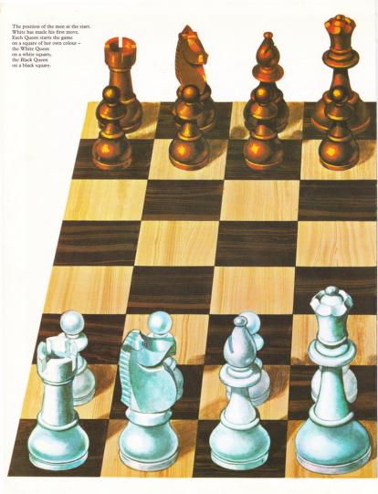 Chess For Young Beginners : William T. McLeod, Ronald Mongredien, Jean-Paul  Colbus : Free Download, Borrow, and Streaming : Internet Archive